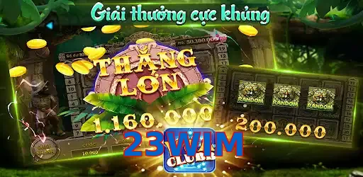 23WIM